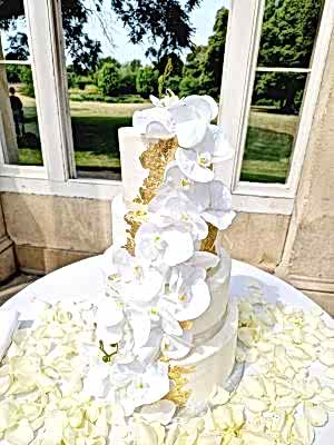 Orchids and Gold Leaves - £380